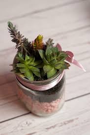 Diy Succulent Planter Inside A Small