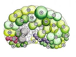 Herb Garden Design Plan