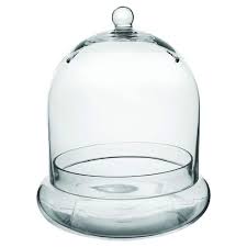 Cloche Terrarium Glass