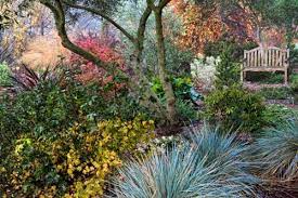 Winter Gardening In Mild Climates