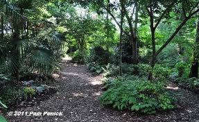 Botanic Garden Shade Bog Gardens