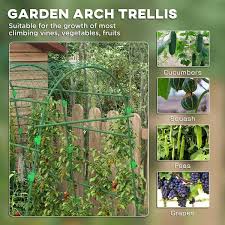 Outsunny Cucumber Trellis 6 8 Tall Arch Trellis For Climbing Plants Outdoor A Frame Green