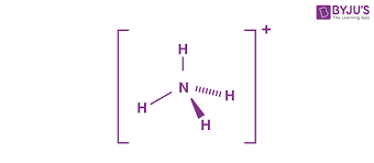 Ammonium Ion Nh4 Explanation