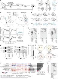 Gut Microbial Factors Predict Disease