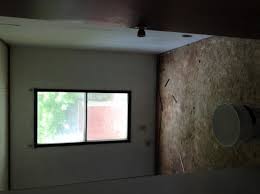 Pics Cat And Dog On Osb Subfloor