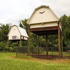 Bats Imagine Our Florida Inc