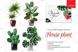 House Plants Realitisic Set House