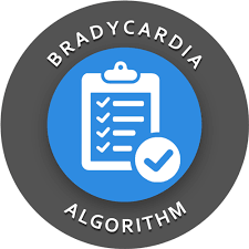 2020 Bradycardia Algorithm Review