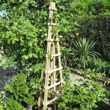 Obelisk Trellis Pressure Treated