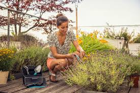 Spring Gardening Tips And Tools