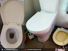 Install Toilet Seat Cover In Bedok Ps
