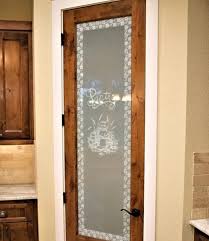 Glass Pantry Door Ideas