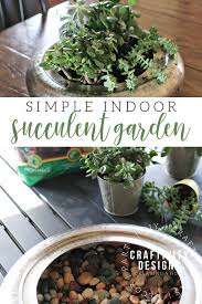 Plant A Simple Indoor Succulent Garden