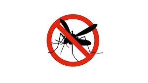 Mosquitoes And Ticks