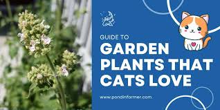 9 Garden Plants That Cats Love Cat
