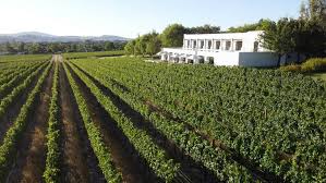 13 Best Wine Estates And Farms In And