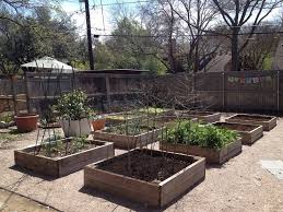 Halleck Horticultural Plantgeek Chic
