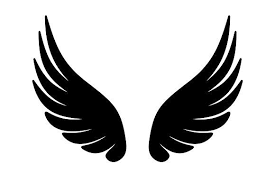 Wing Icon Vector Wings Icon Wings