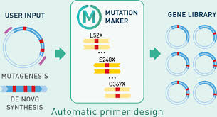 Mutation Maker An Open Source Oligo