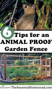 Animal Proof Garden Fence