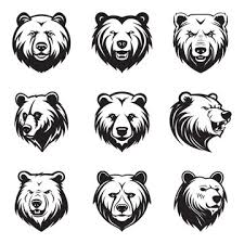 Bear Face Images Browse 1 217 Stock