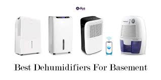 The Best Dehumidifier For Basement