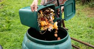 Composting Kits Available In India