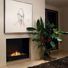Fireplace Inserts Modern Eco