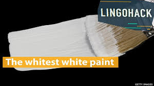 Lingo The Whitest White Paint