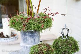 How To Make Diy Moss Balls An Easy