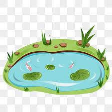 Pond Clipart Images Free