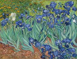 Irises By Vincent Van Gogh 1889