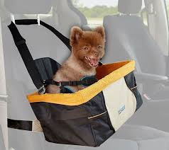 6 Tips To Ensure Pet Safety In Cars