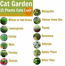 A Cat Friendly Garden