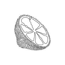 Line Draw Design Vector Ilration