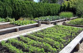 Why Raised Beds Are A Great Addition To
