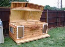 Outdoor Mini Pig House With A Hinged