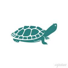 Turtle Design Vector Ilration