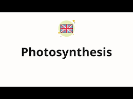How To Pronounce Photosynthesis