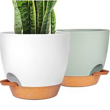 Planter Pots Temu