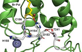 M2 Protein From Influenza Virus