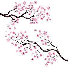 Cherry Blossom Tree Images Free