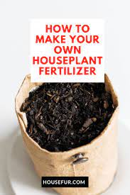 How To Make Your Own Houseplant Fertilizer