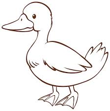 Duck Draw Images Free On Freepik