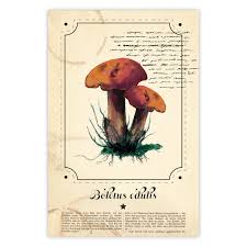 Poster Mushroom Guide Book Poster