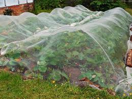 Gallery Of Bird Netting