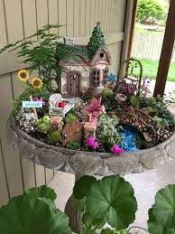 Fairy Garden Plants