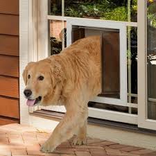 French Door Plexidor Dog Doors
