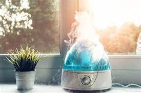 11 Best Air Humidifier For 2023 Storables