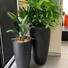 Best D Garden Plant Pots And